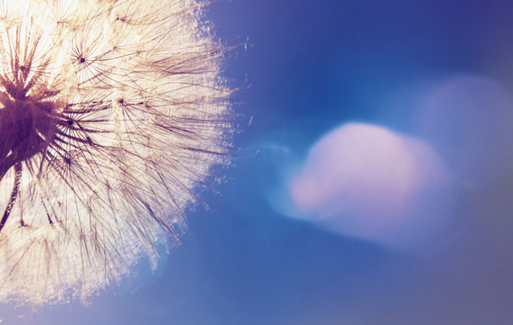 Z6尊龙旗舰厅(中国)官方网站